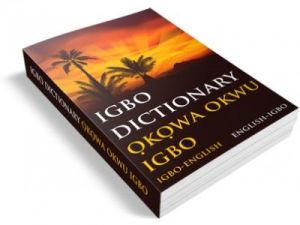 An Image of the Igbo Dictionary by Okowa Okwu